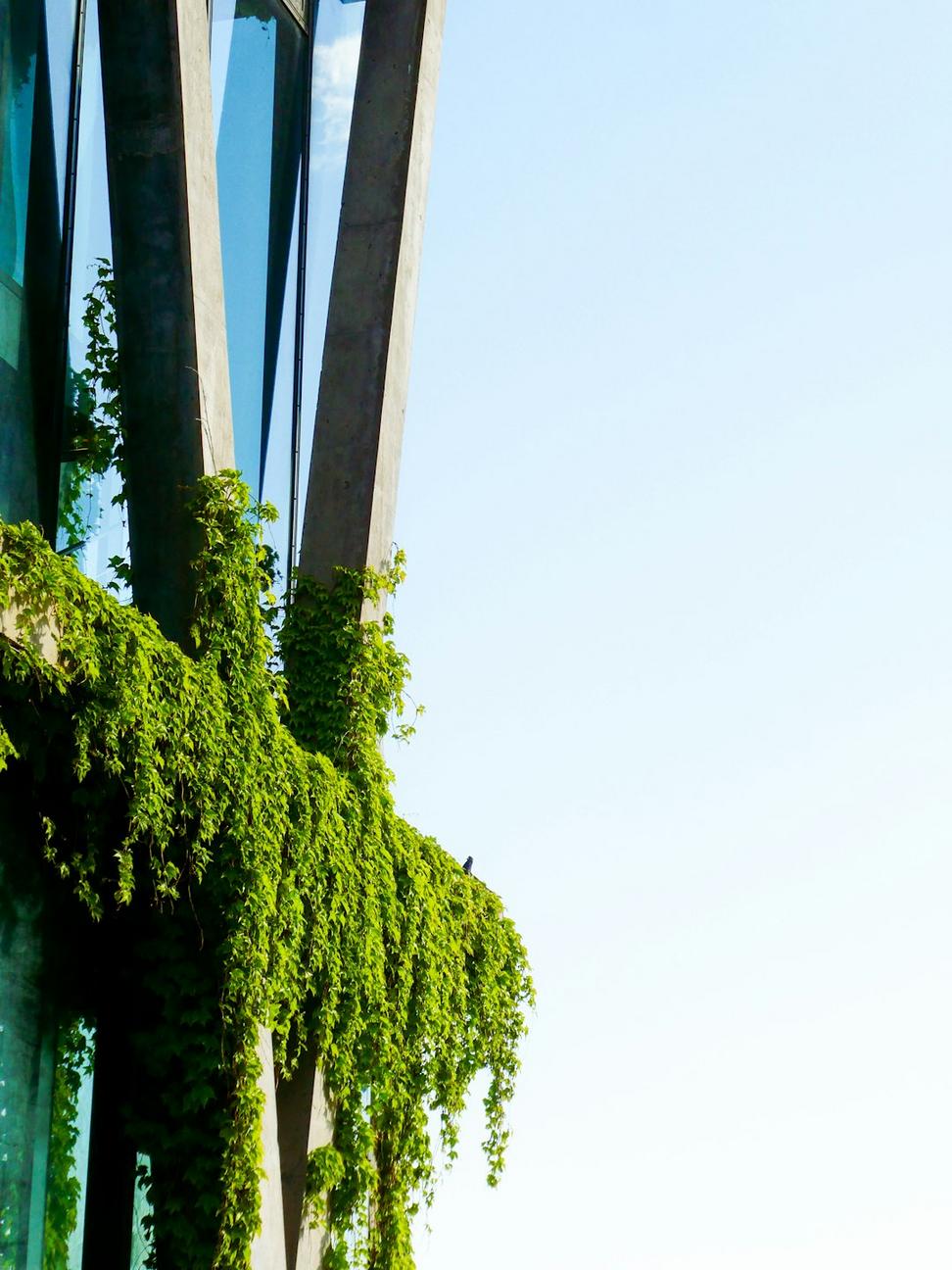 Sustainable Commercial Building
